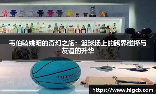 韦伯骑姚明的奇幻之旅：篮球场上的跨界碰撞与友谊的升华